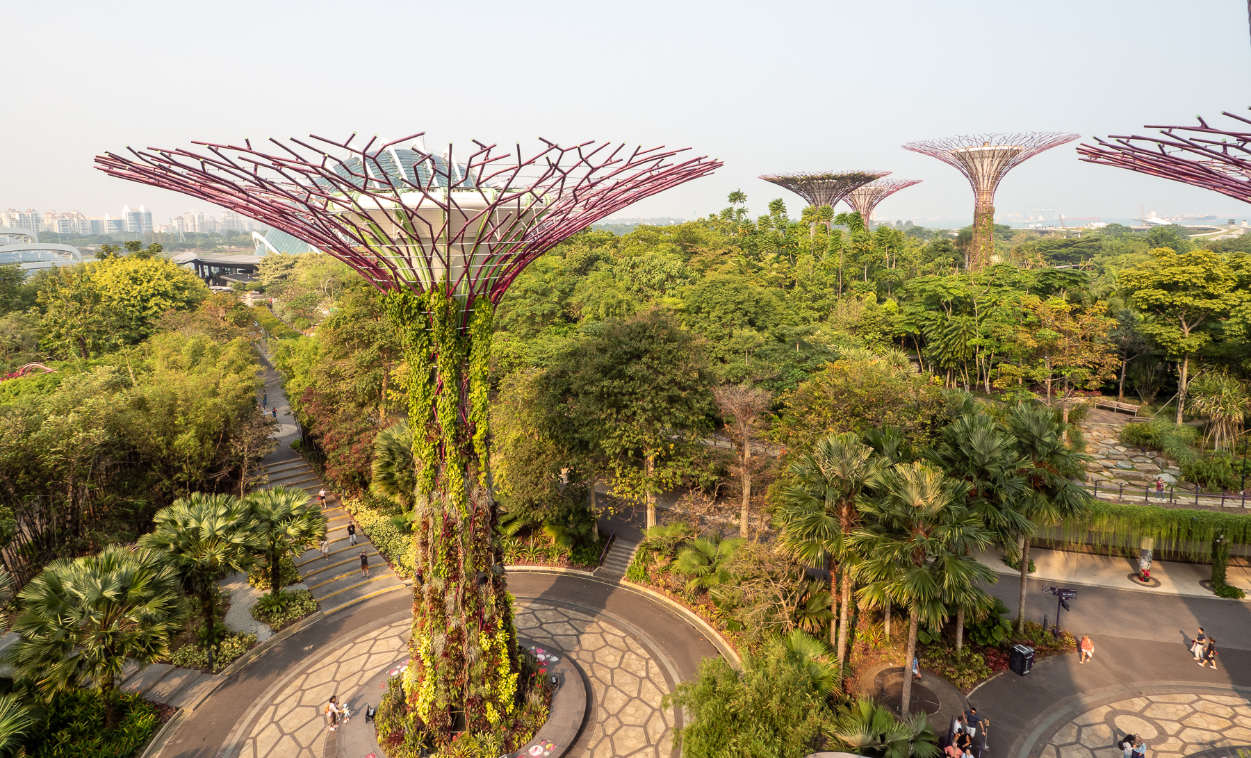 Singapore – 2019 – Gardens by the Bay