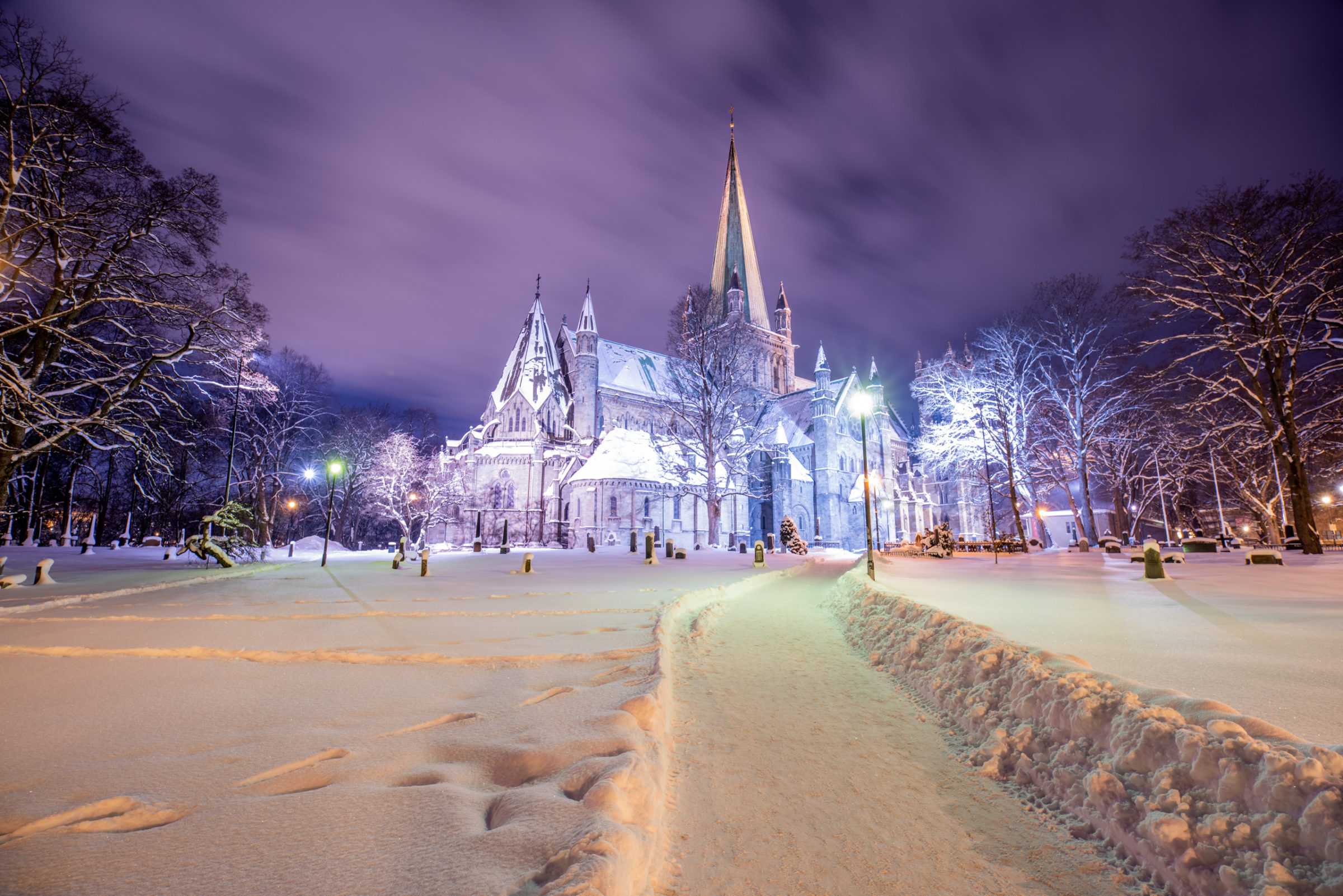 Trondheim Cathedral at night - rear