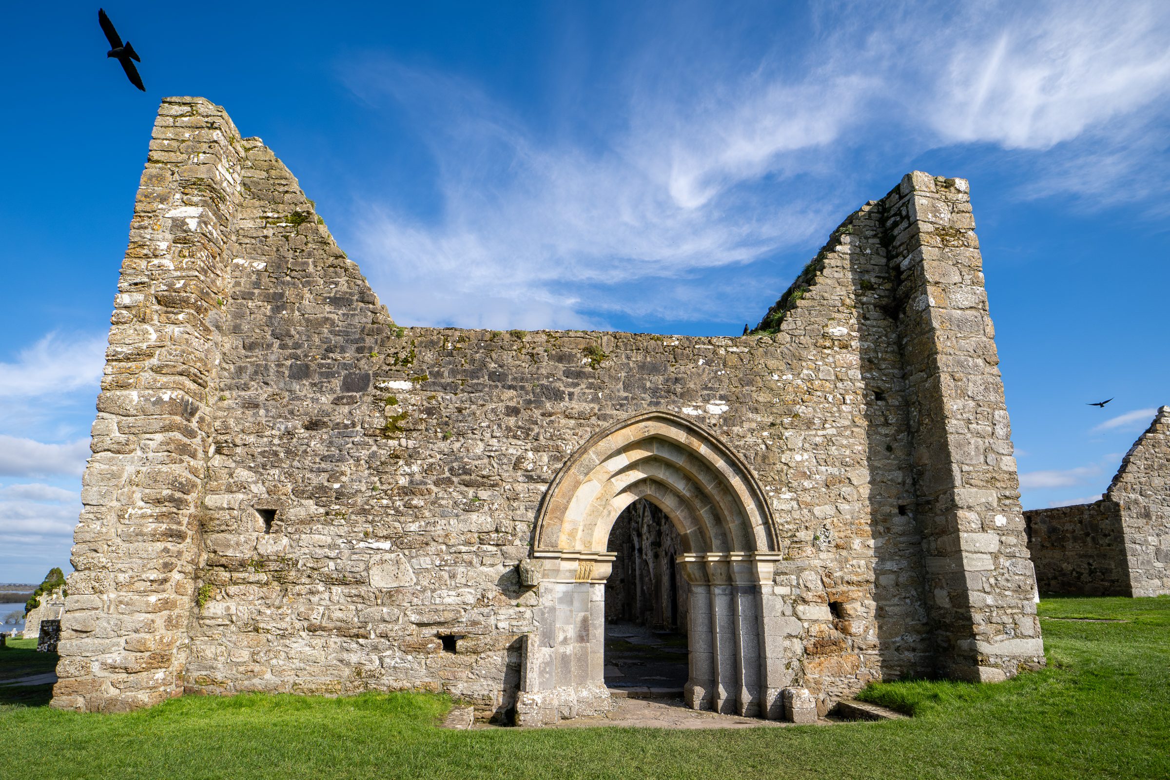 Exterior of The Cathedral, with a jackdaw flying past.