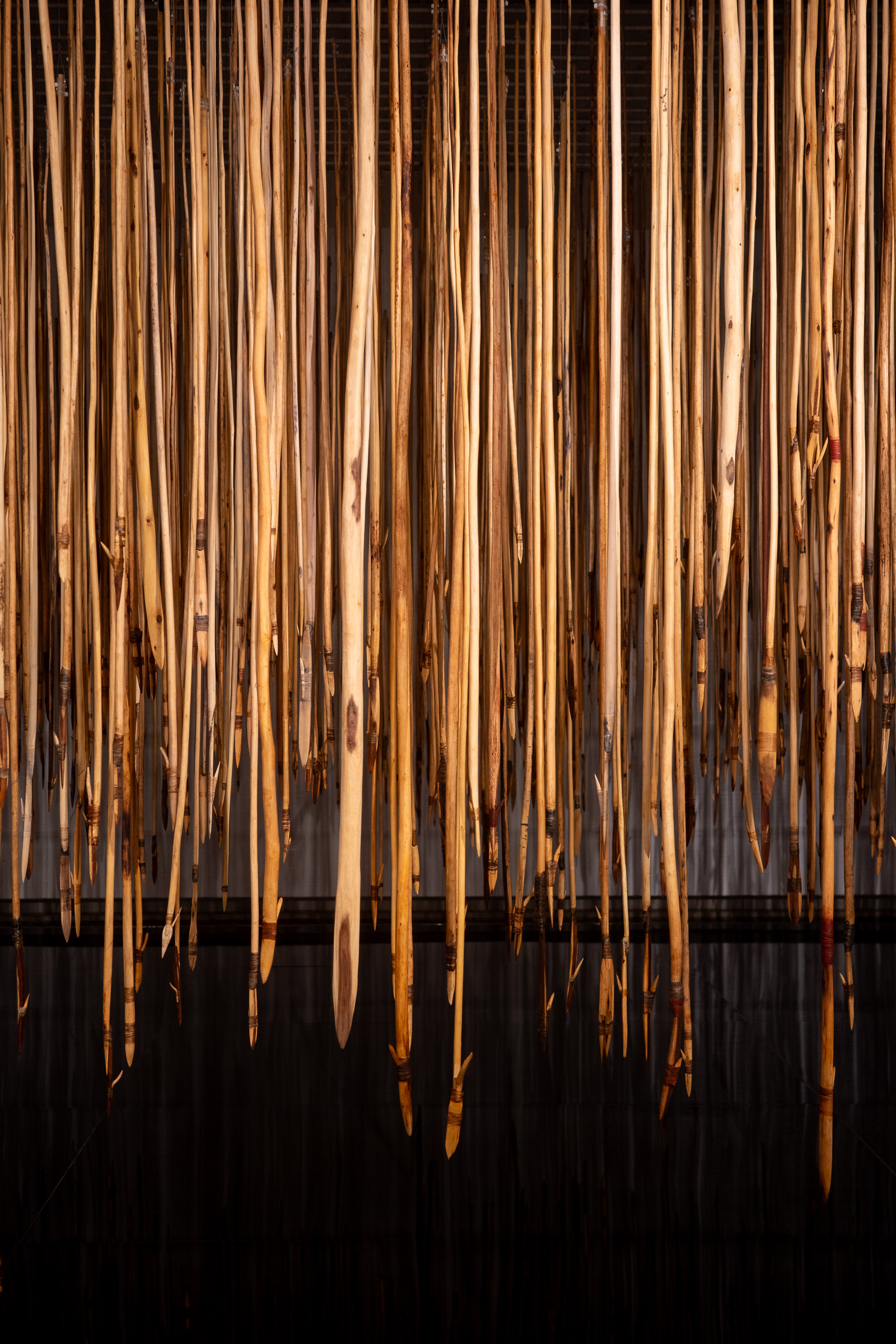 Kulata Tjuta: Tirkilpa - an installation at the National Gallery of Australia - a large number of wooden spears hanging from the ceiling.