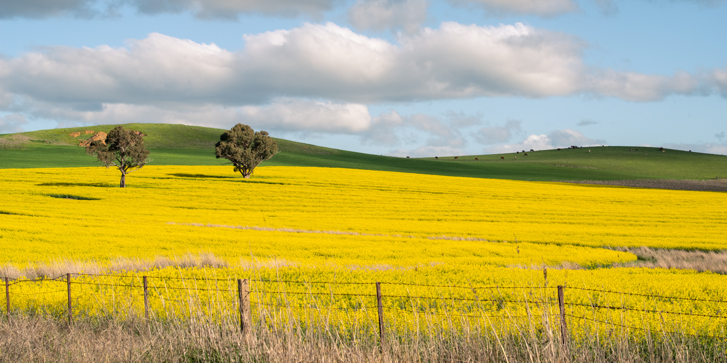 Spring Drive, 2025 – II